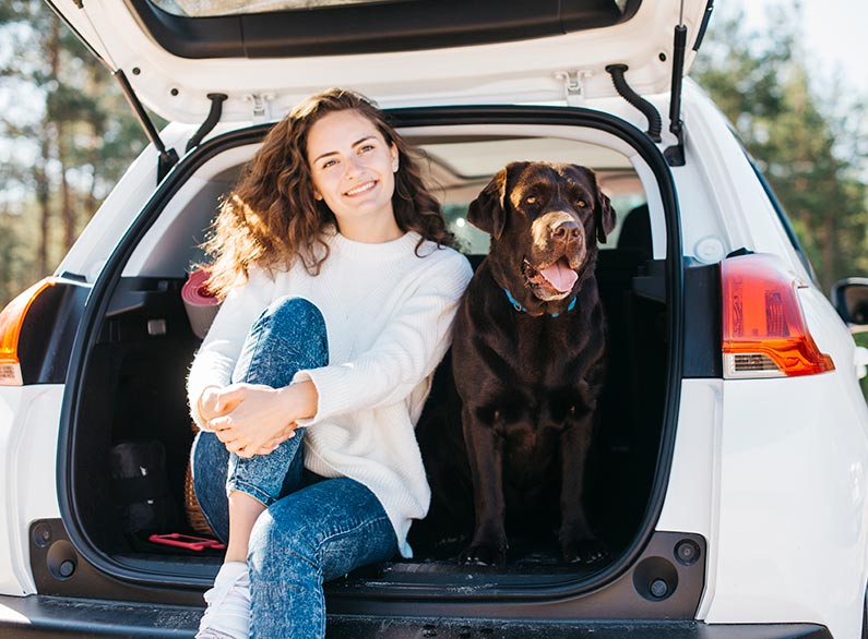 ¿Cómo viajar con mascotas en el coche?